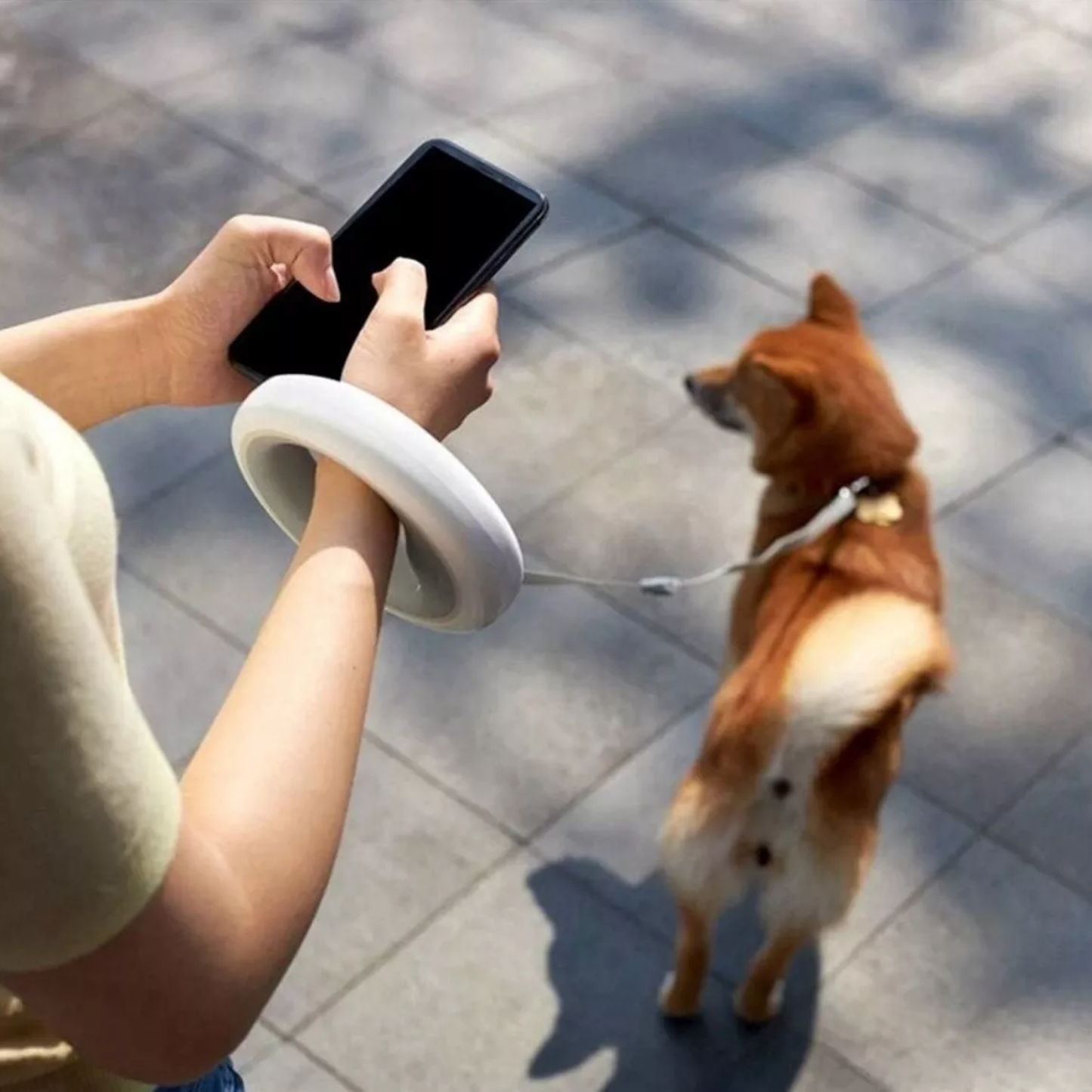 🐕 Correa Retráctil con Bloqueo y Dispensador – Ideal para Mascotas Pequeñas y Medianas