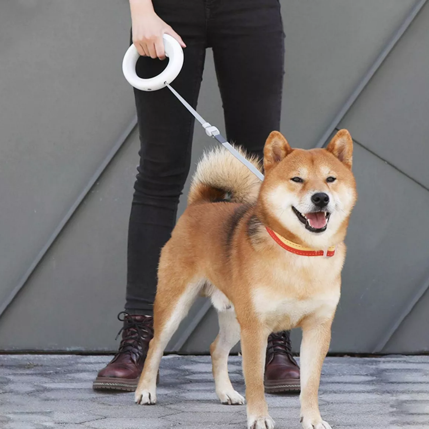 🐕 Correa Retráctil con Bloqueo y Dispensador – Ideal para Mascotas Pequeñas y Medianas
