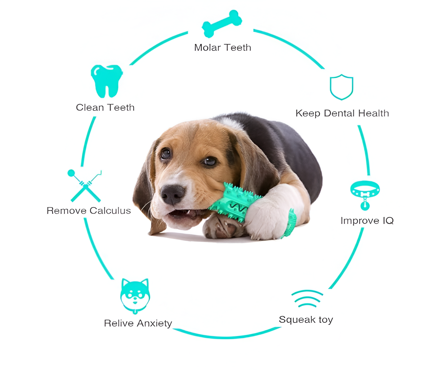 Juguete para Perro con Función de Limpieza Dental 🦷🐶
