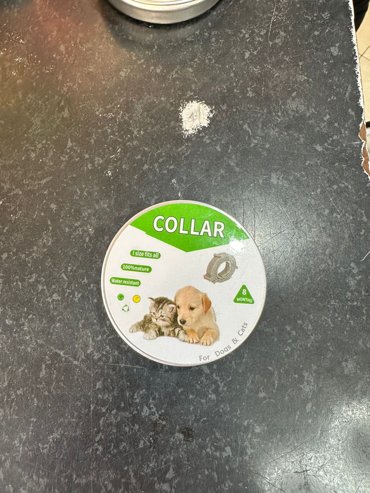 Collares Antipulgas Efectivos para Perros y Gatos 🐶🐱